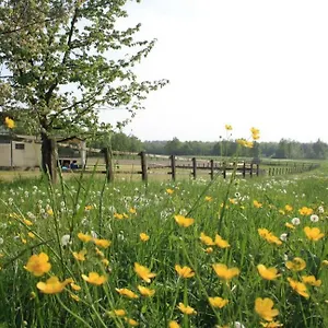 Agriturismo Cargandino , Mezzomerico Italien